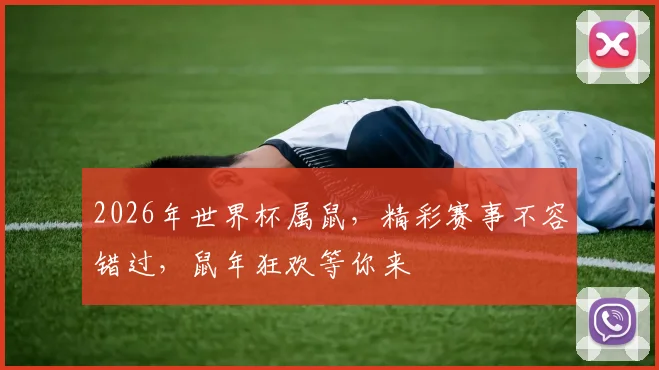 2026年世界杯属鼠，精彩赛事不容错过，鼠年狂欢等你来