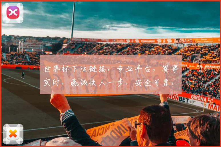 世界杯下注链接，专业平台，赛事实时，赢钱快人一步，安全可靠，双重保障