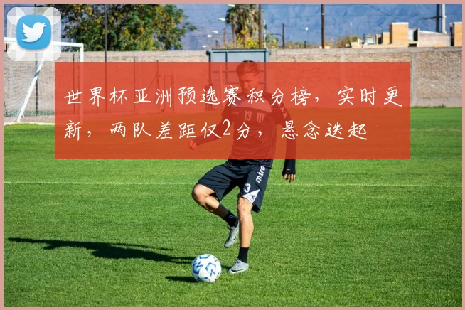 世界杯亚洲预选赛积分榜，实时更新，两队差距仅2分，悬念迭起
